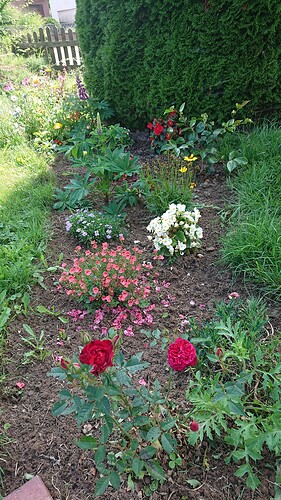 Growreport Bild 29