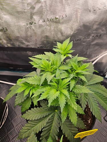 Growreport Bild 22