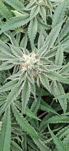 Growreport Bild 14