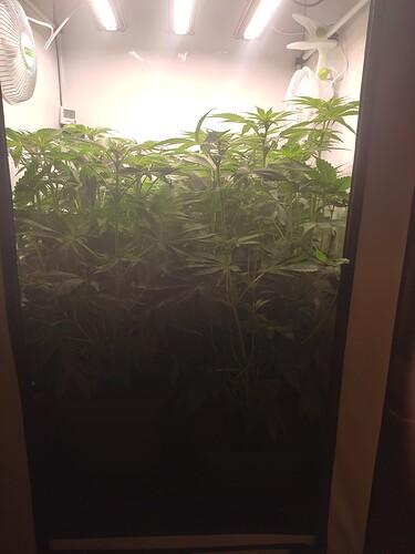 Growreport Bild 7