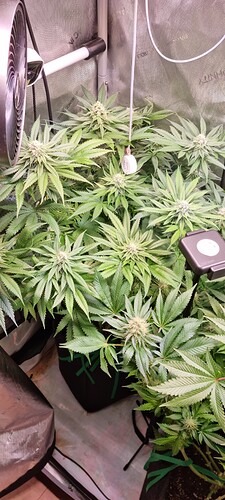 Growreport Bild 17
