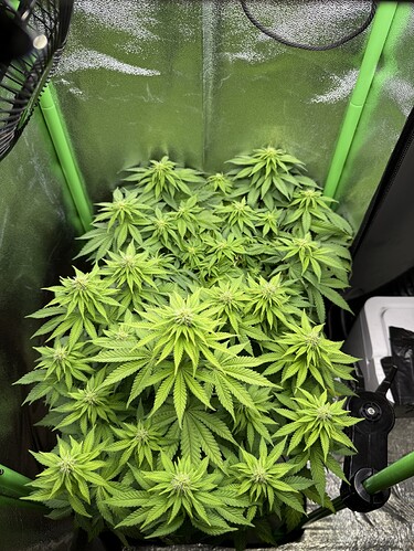 Growreport Bild 22