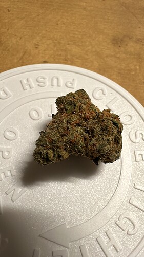 Growreport Bild 49