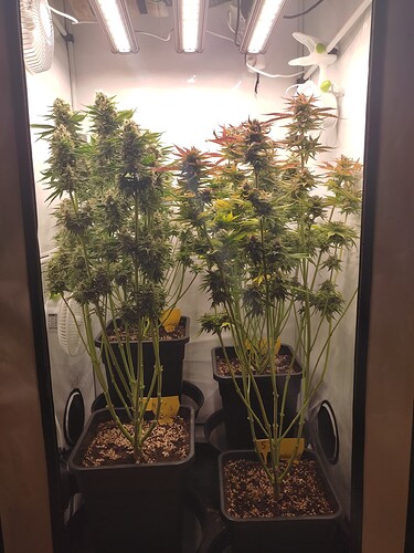 Growreport Bild 10