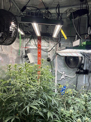 Growreport Bild 4