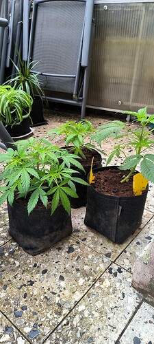Growreport Bild 16