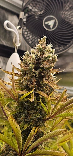 Growreport Bild 23