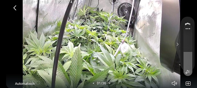 Growreport Bild 24