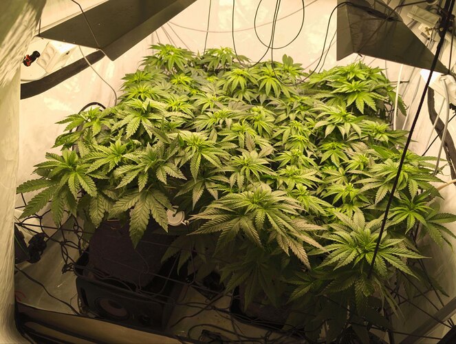 photo_2025-11-11_00-00-15