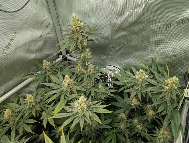 Growreport Bild 4