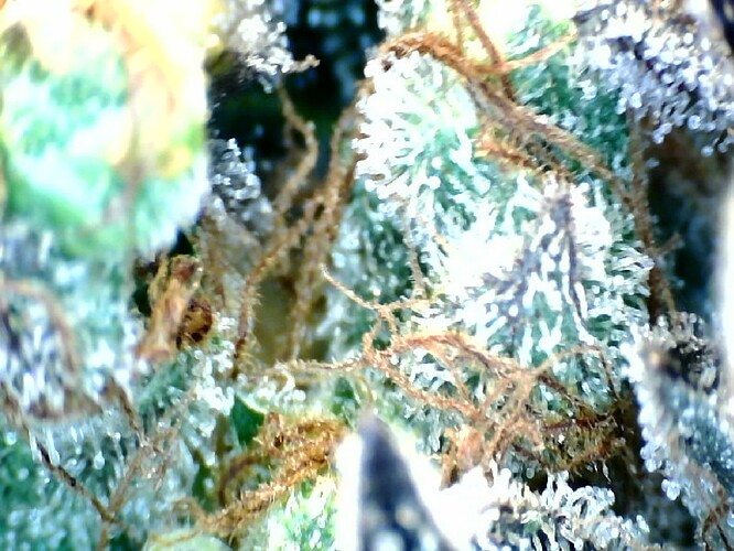 Growreport Bild 30