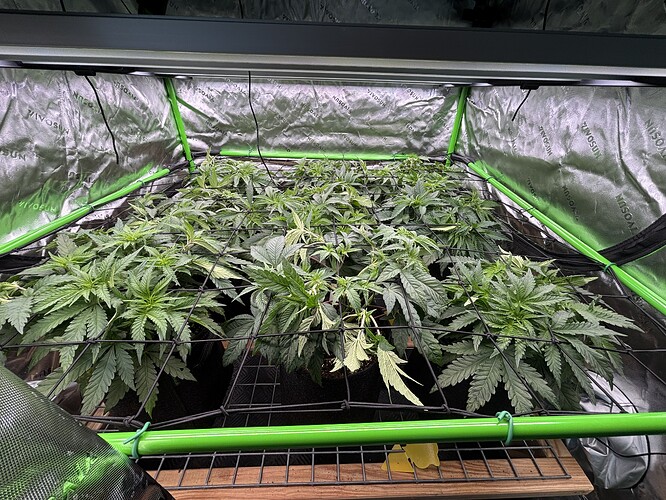 Growreport Bild 2