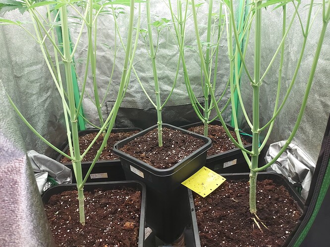 Growreport Bild 23