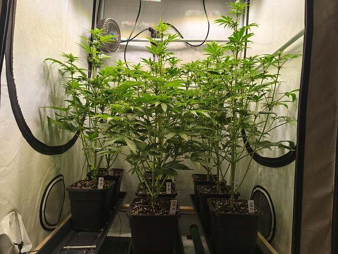 Growreport Bild 4