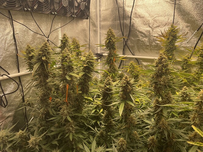 Growreport Bild 12