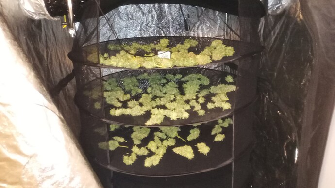 Growreport Bild 8