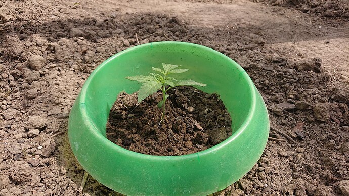 Growreport Bild 30