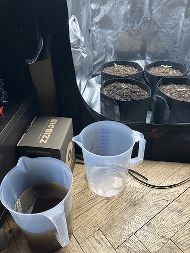 Growreport Bild 11
