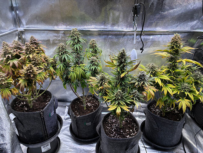 Growreport Bild 14