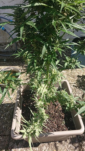 Growreport Bild 23