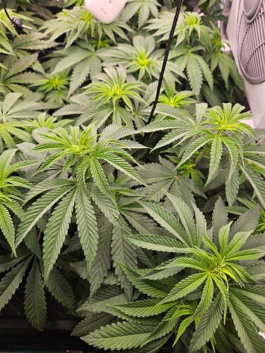 Growreport Bild 1