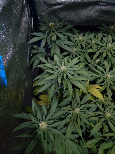 Growreport Bild 13