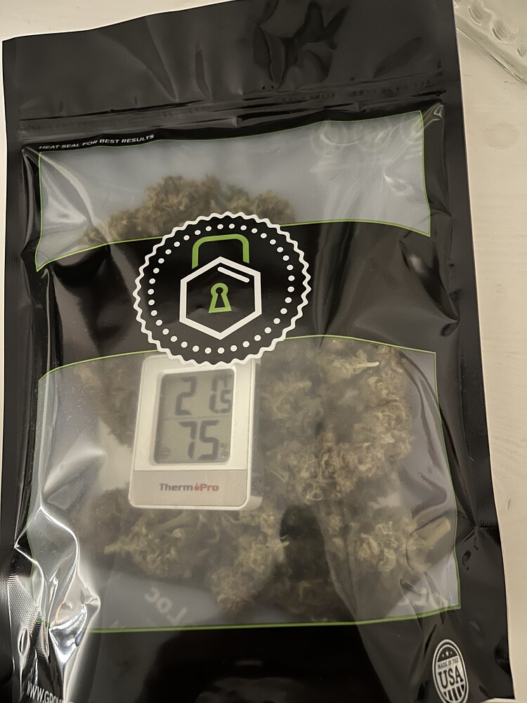 WAPPA by Paradise Seeds und WHITE SKUNKS by White Label, lass die Party steigen