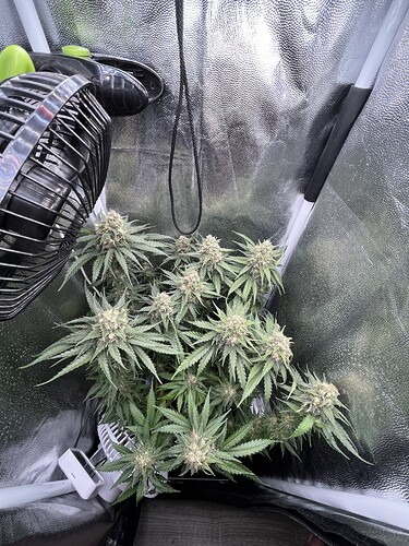 Growreport Bild 2