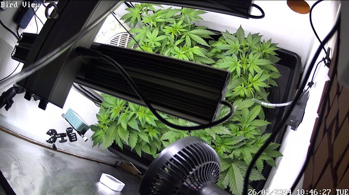Growreport Bild 10