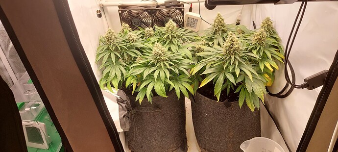 Growreport Bild 9