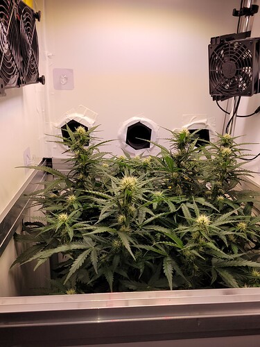 Growreport Bild 4