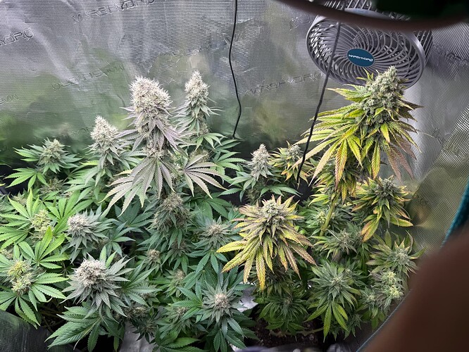 Growreport Bild 14