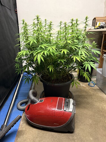 Growreport Bild 9