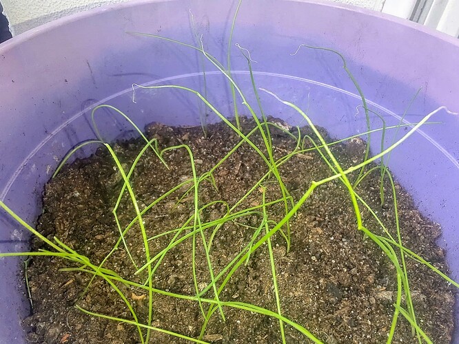 Growreport Bild 15