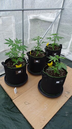 Growreport Bild 8