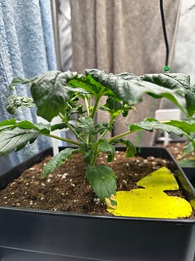 Growreport Bild 2