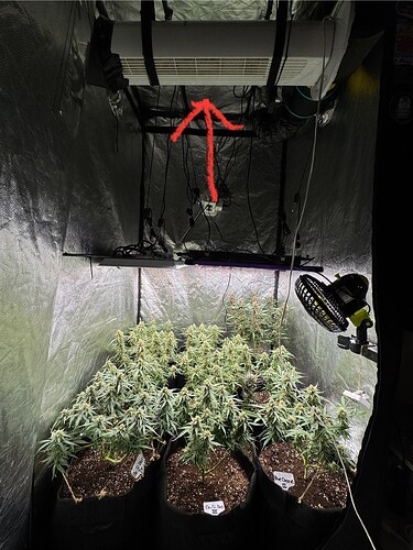Growreport Bild 10