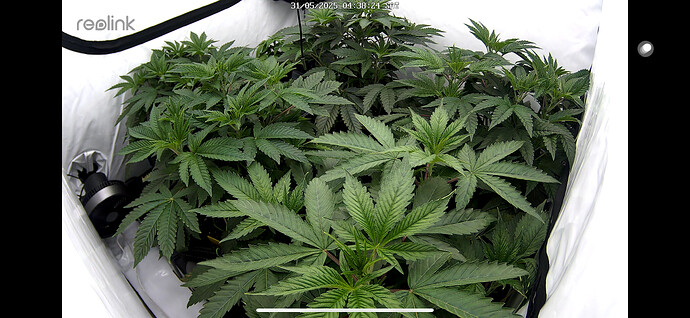 Growreport Bild 2