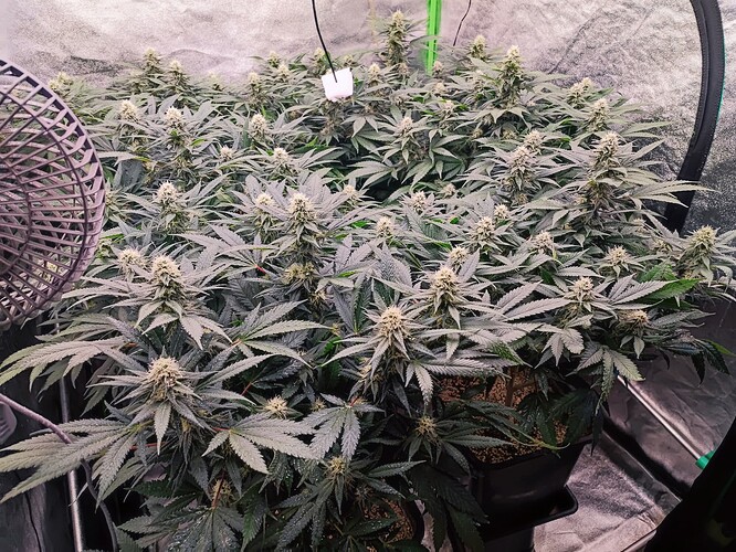 Growreport Bild 10