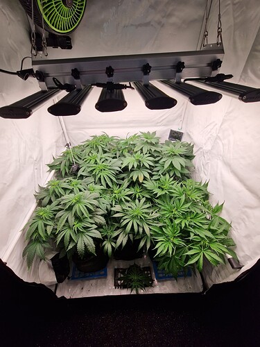 Growreport Bild 18