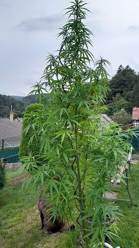 Growreport Bild 22
