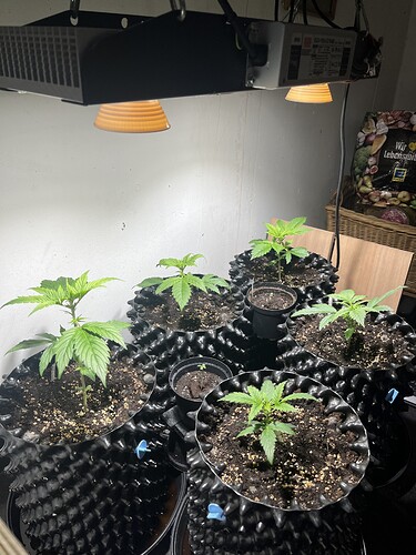 Growreport Bild 6