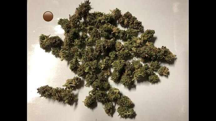 Growreport Bild 6