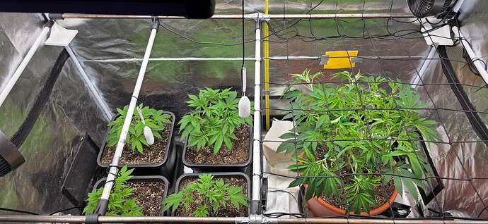 Growreport Bild 5