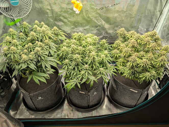 Growreport Bild 23