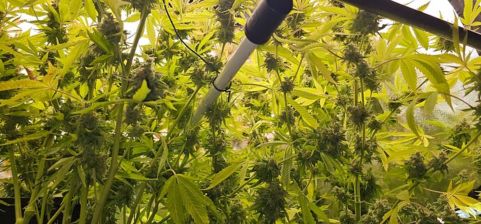 Growreport Bild 32
