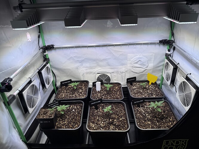 Growreport Bild 26