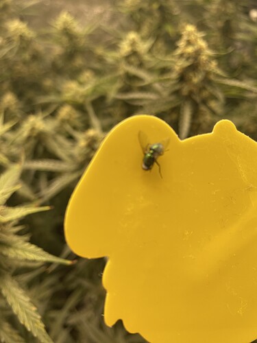 Growreport Bild 1