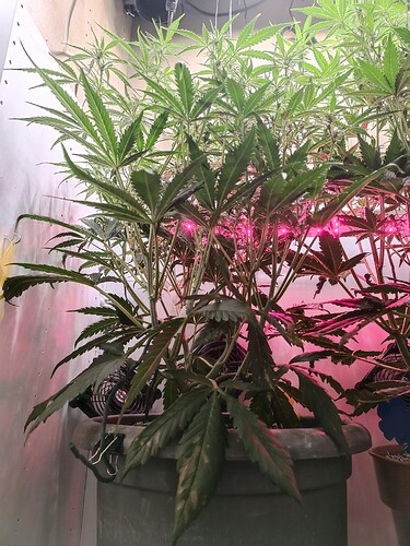 Growreport Bild 12
