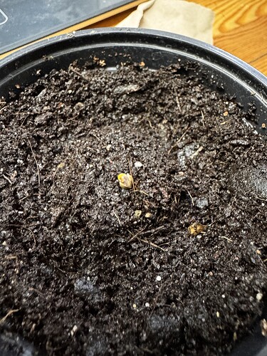 Growreport Bild 9